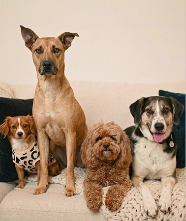 Jolene, Mimi, Maisie & Bella, Support Crew